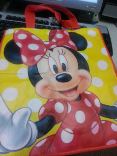 disneybag